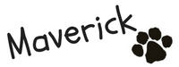 Maverick.png