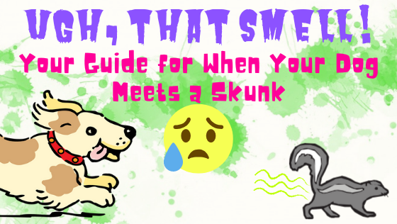 Ugh, That Smell! - Your Guide for When Your Dog Meets a Skunk — Brewer  Veterinary Clinic