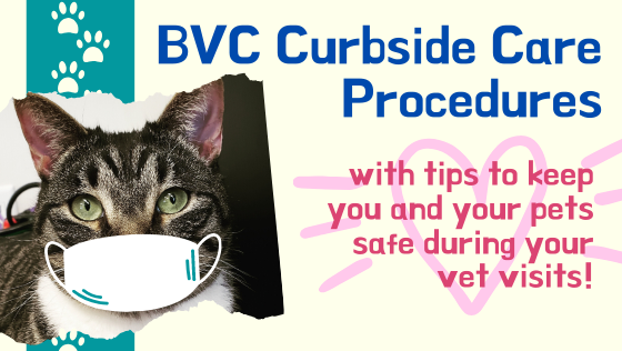 COVID-19 BVC Curbside Care Procedures and Tips