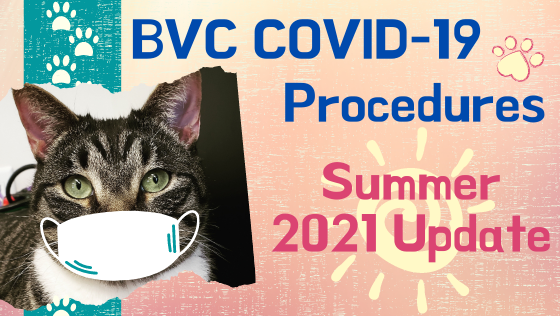 BVC COVID-19 Procedures: July 2021 Update