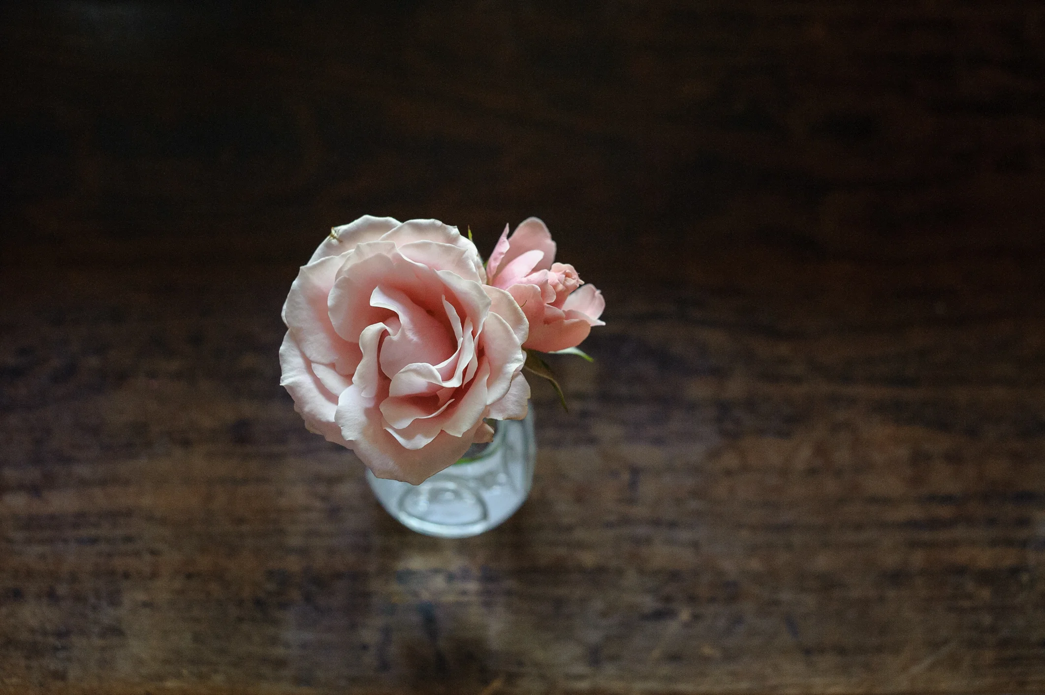 WEDDING DECOR AND VENUE-1.JPG