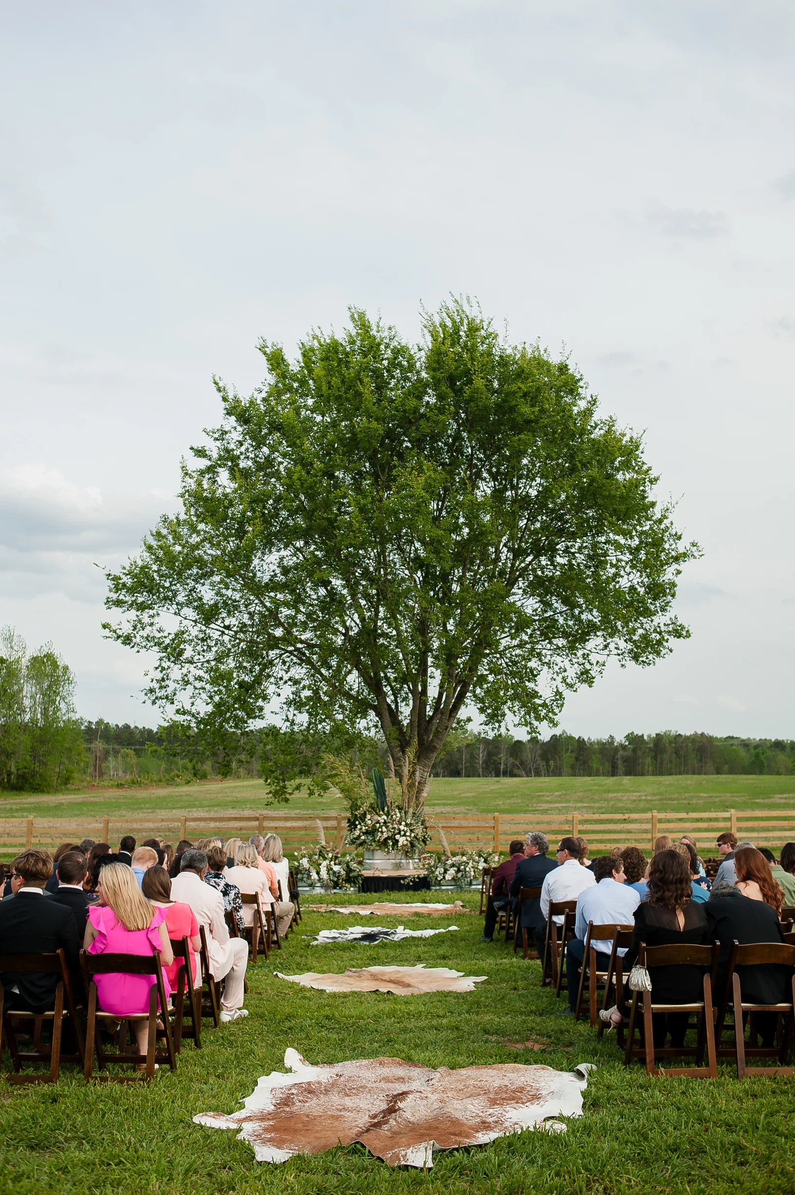 Elegant Western Boho Wedding with farm animals and cactus-85.JPG