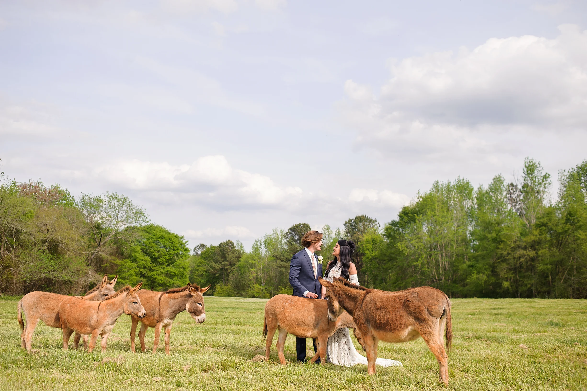 Elegant Western Boho Wedding with farm animals and cactus-84.JPG