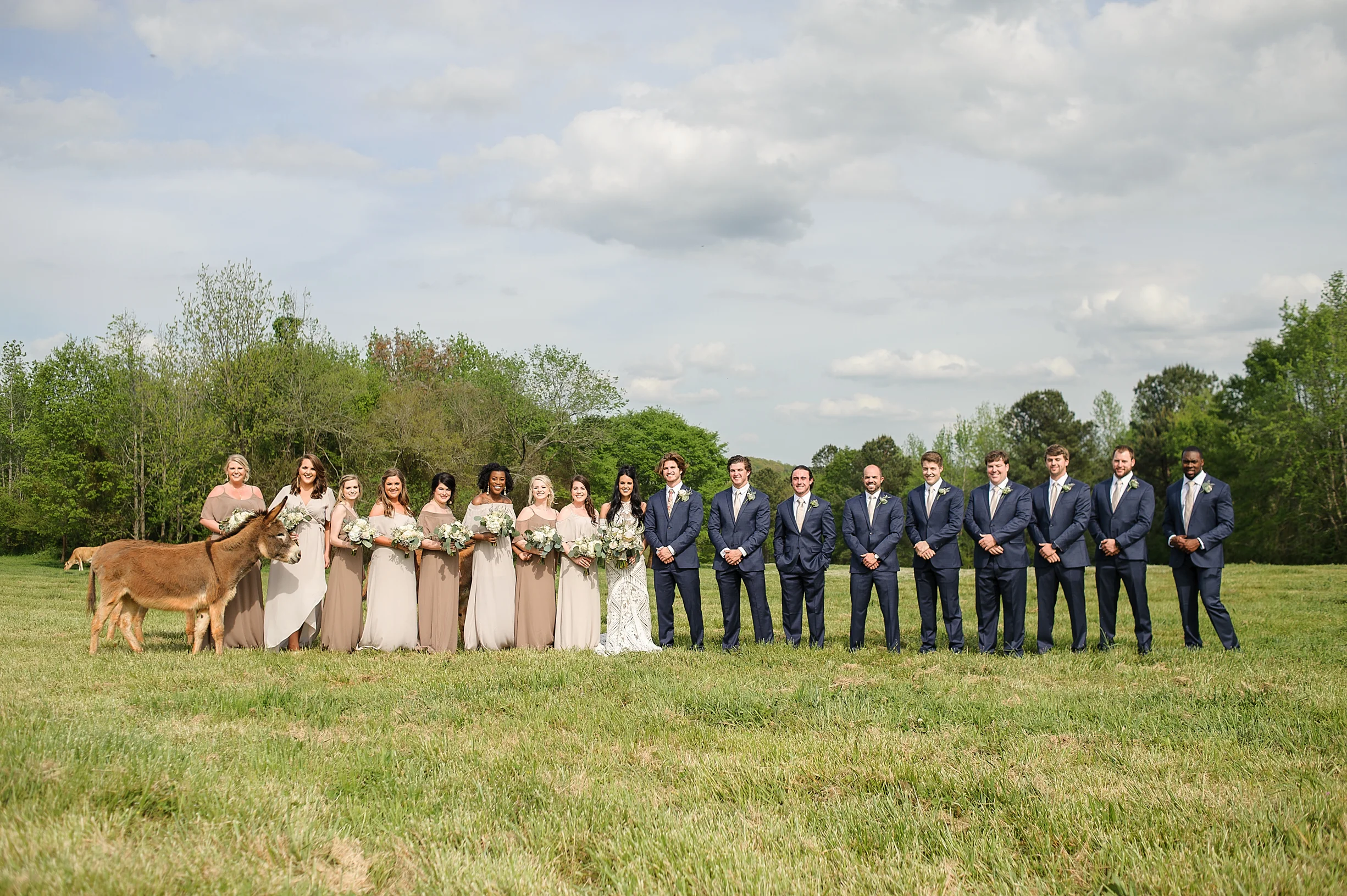 Elegant Western Boho Wedding with farm animals and cactus-83.JPG