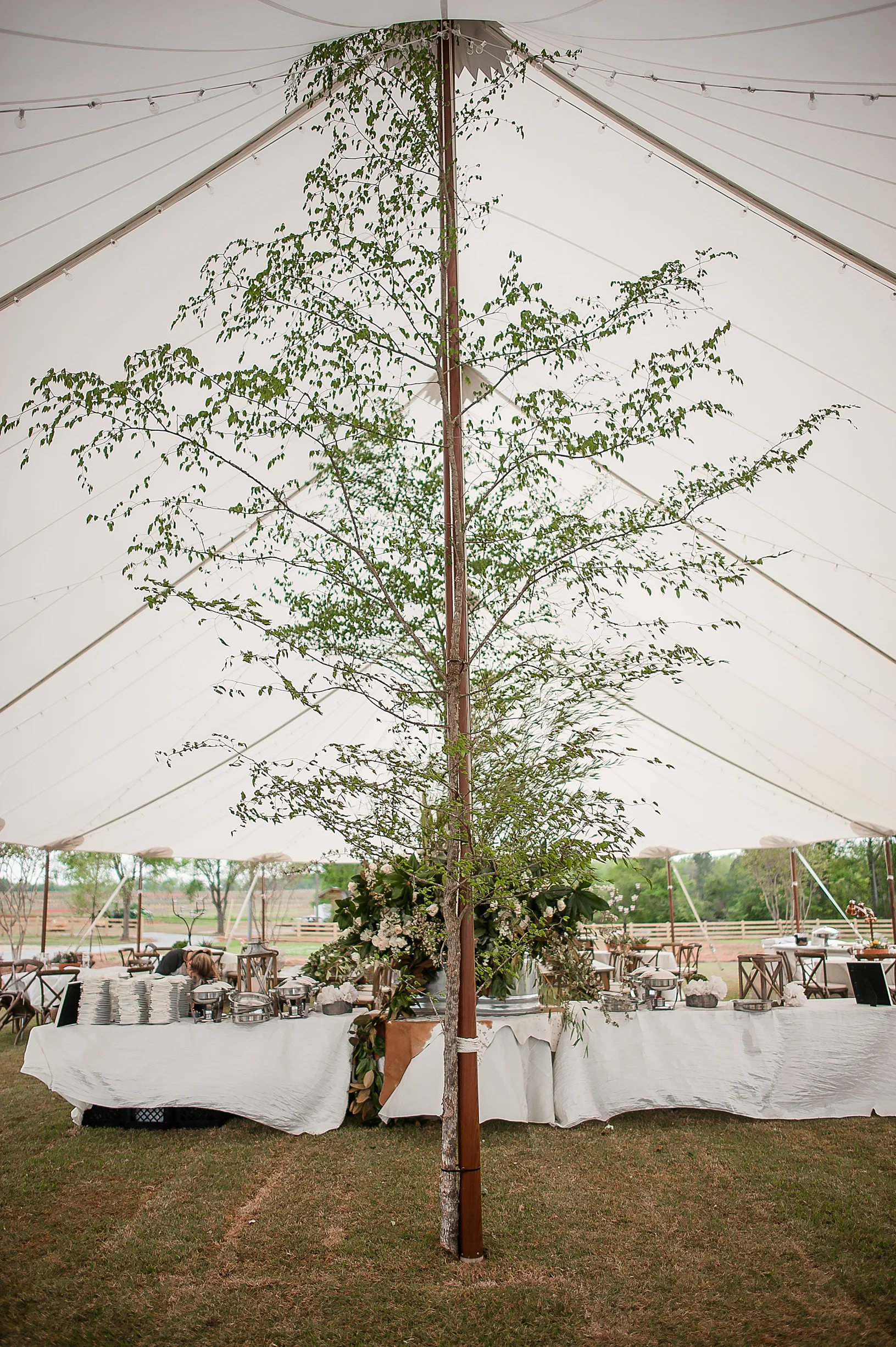 Elegant Western Boho Wedding with farm animals and cactus-66.JPG