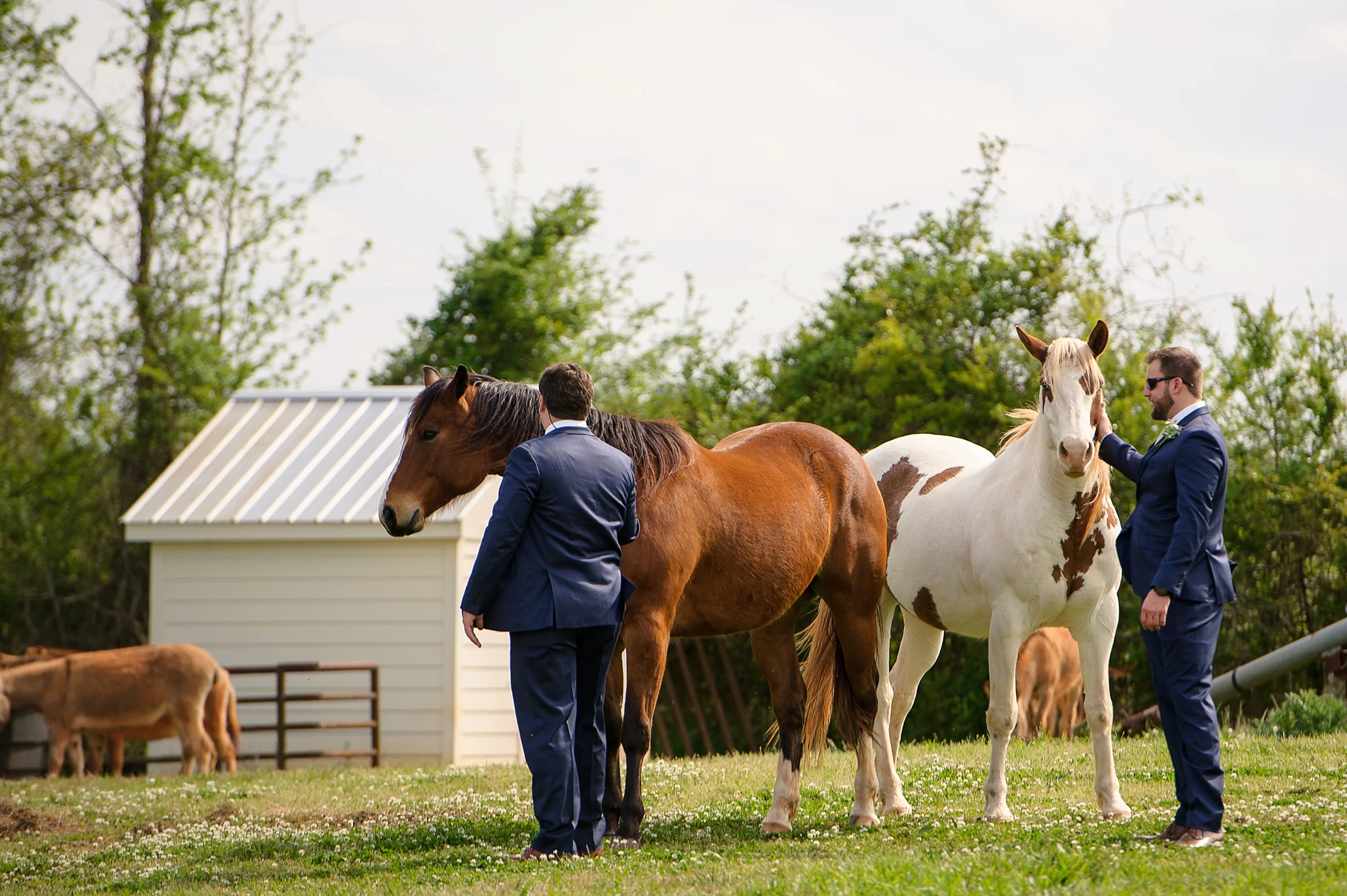Elegant Western Boho Wedding with farm animals and cactus-38.JPG