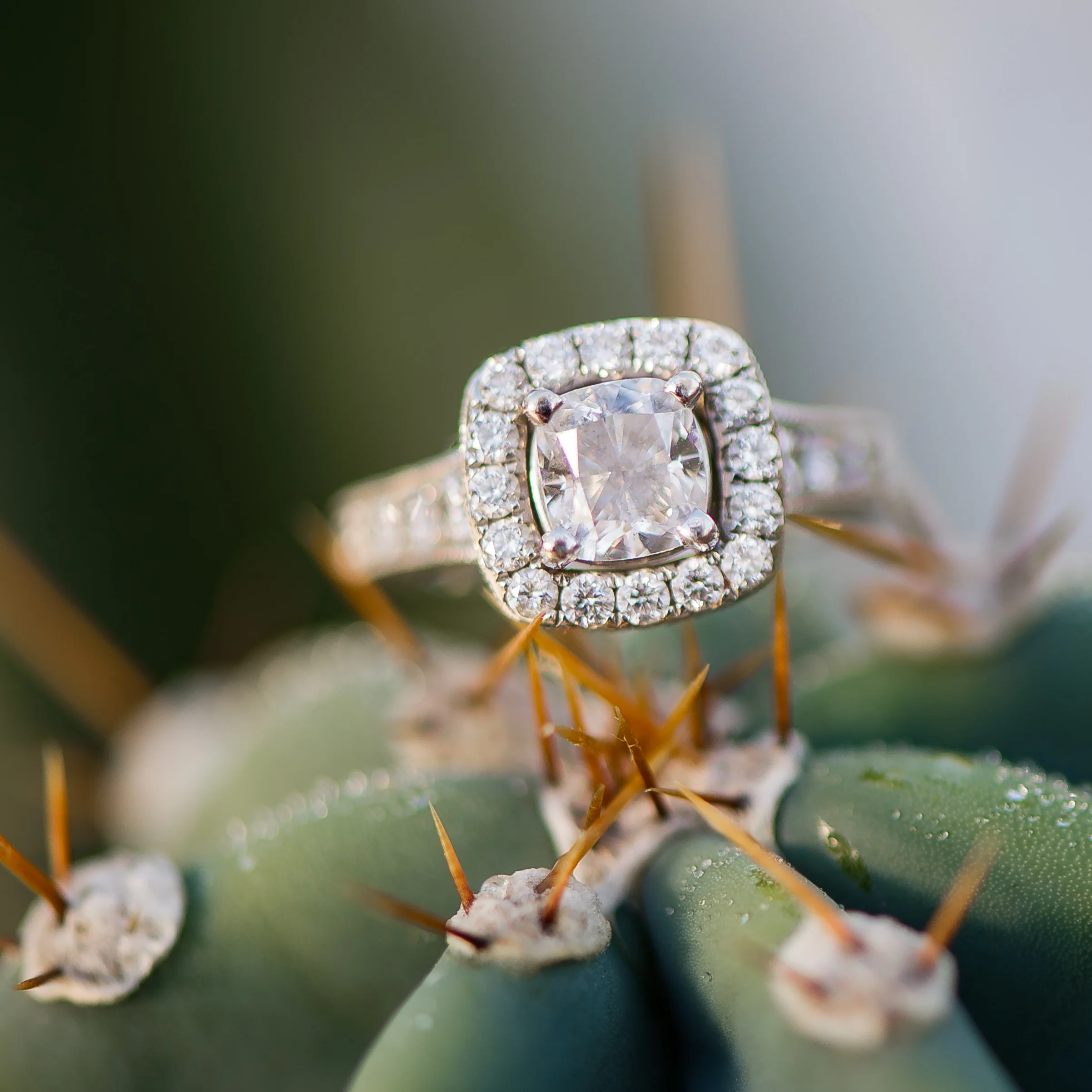 Emily &amp; Jonathan: Winter, Phoenix, resort wedding