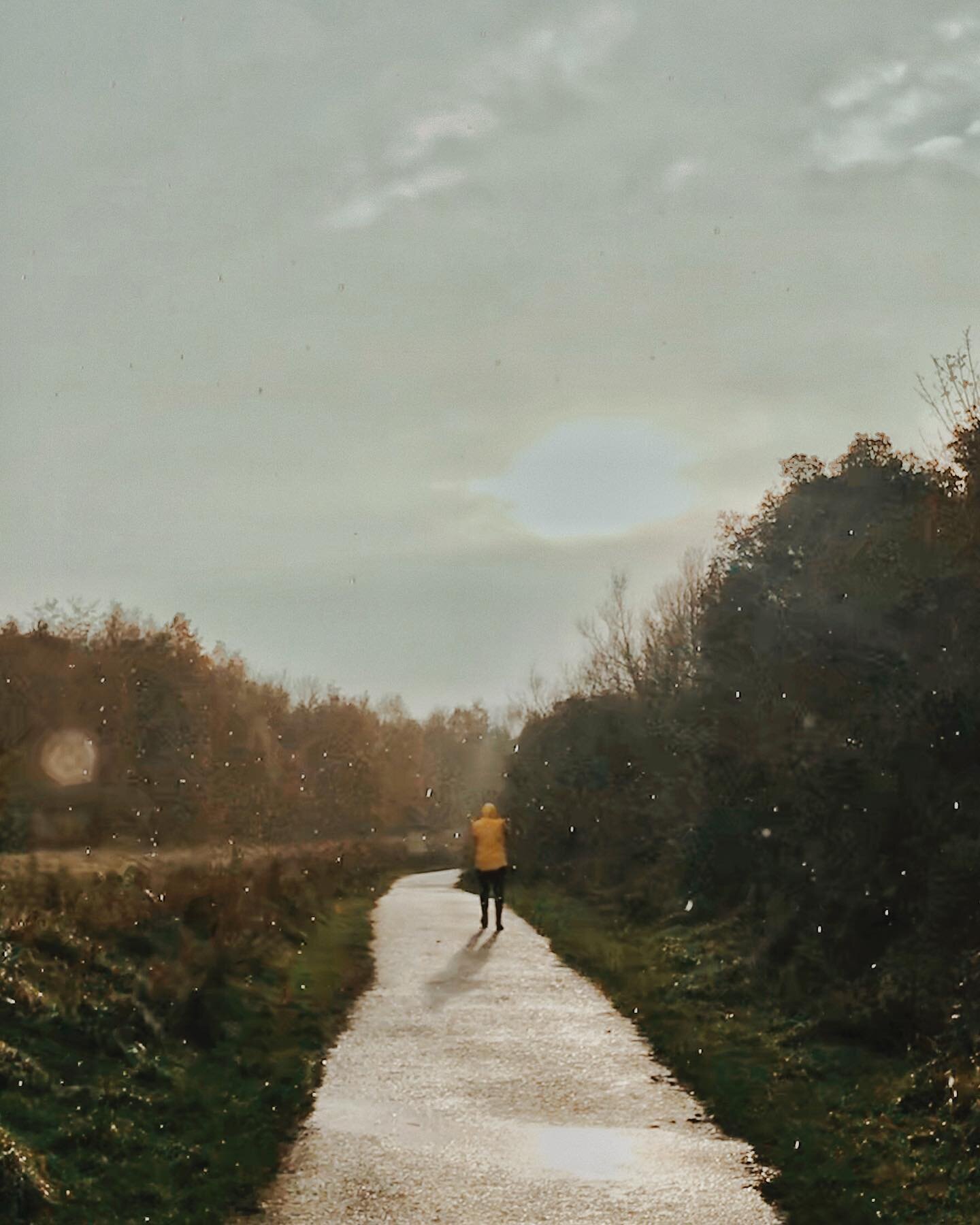 A sunny, rainy, windy walk. 
The Irish special 🌞 🌧 🌪 
I took this photo on my phone earlier today and I like how the lo-fi camera quality mixed with the heavy rain makes it look kind of like a painting. Hope everyone is feeling ok as the days are 