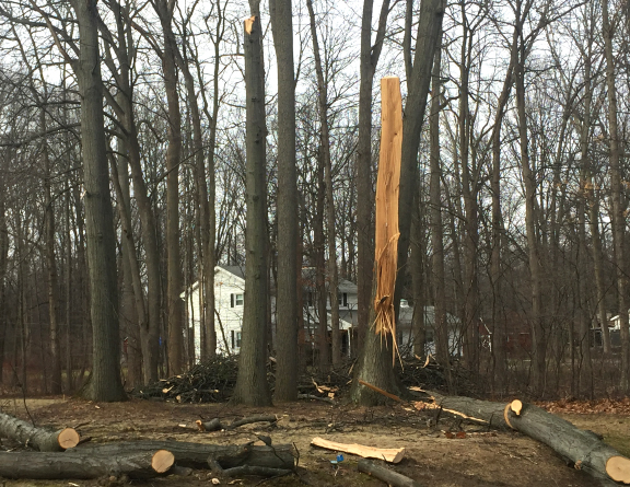 A home owner attempted to do work that was above their head. Unfortunately this ended in injury.