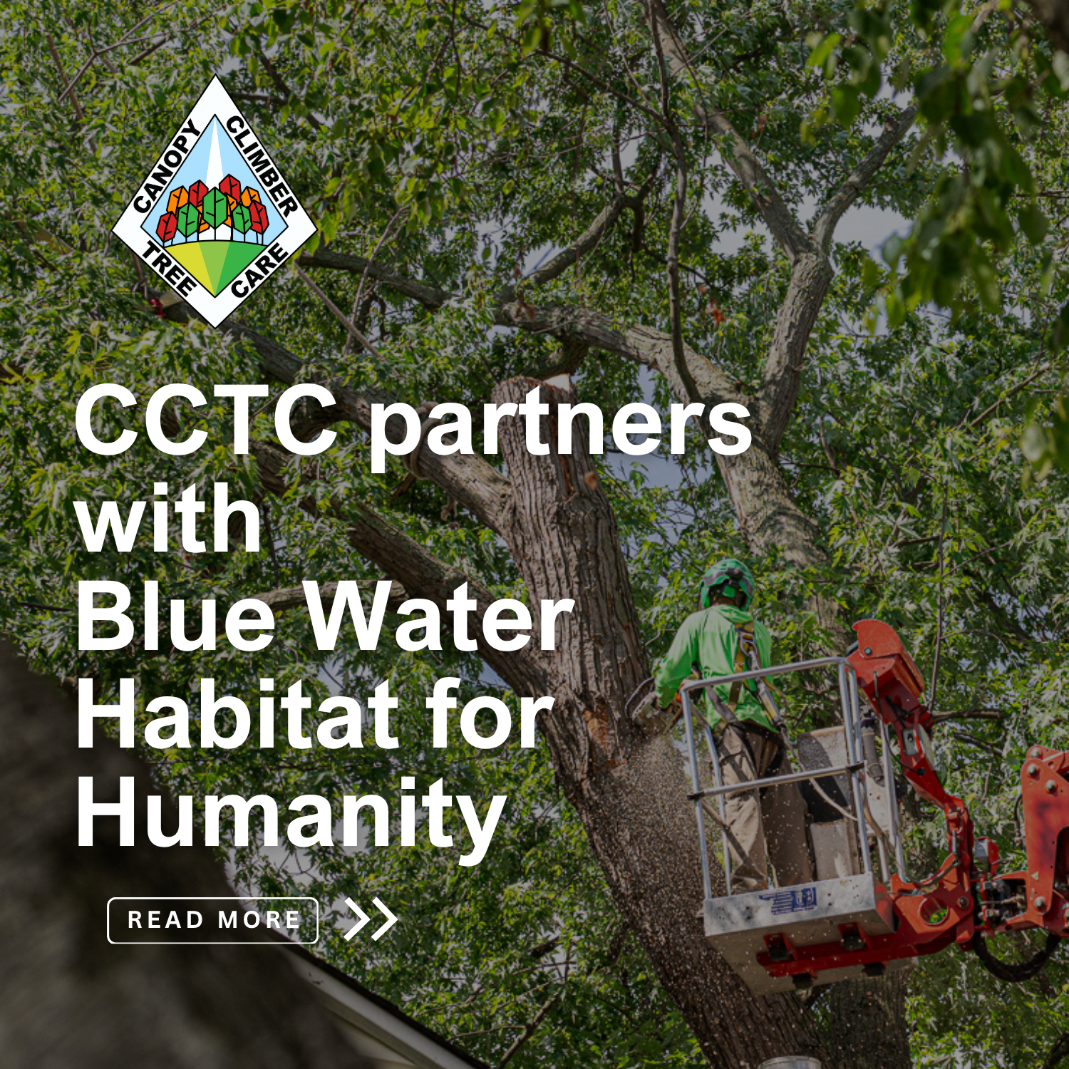 Canopy Climber Tree Care Partners with Blue Water Habitat for Humanity to Help Protect a Local Veteran's Home