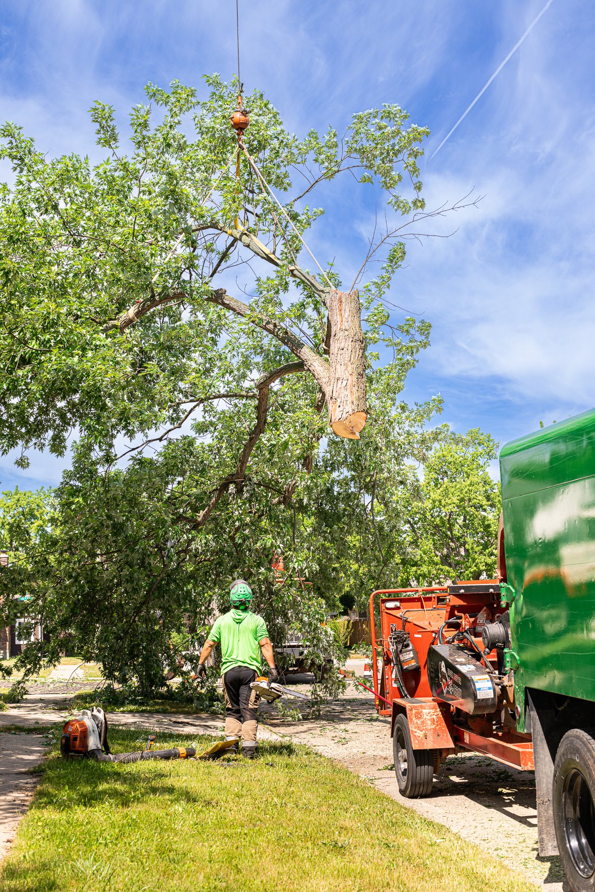Crane lifting sections of a large maple tree during a safe residential tree removal project