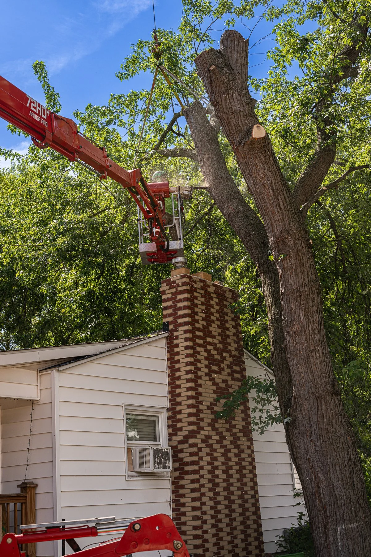 Community-focused tree removal project completed in partnership with Blue Water Habitat for Humanity to help protect a local veteran's home in Port Huron
