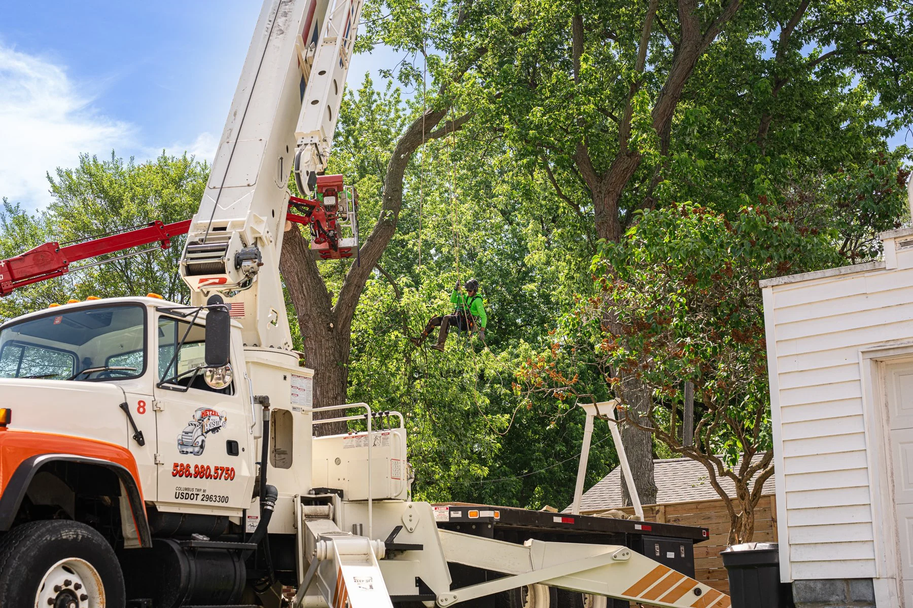 Crane-assisted maple tree removal at a residential property in Port Huron, Michigan.