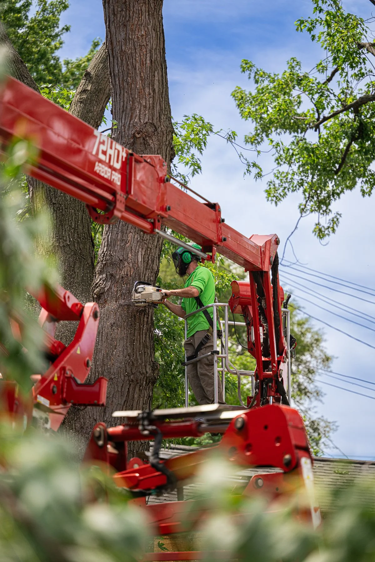 Canopy Climber Tree Care completing hazardous tree removal with attention to safety and property protection