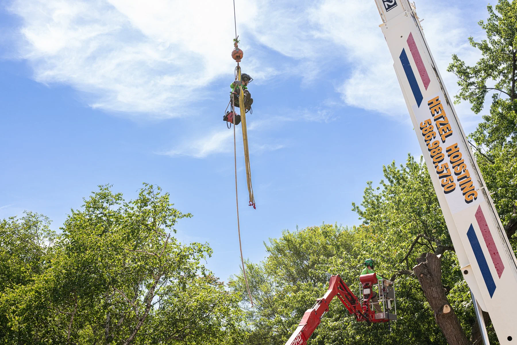 Professional tree care crew removing hazardous limbs near a home in Port Huron, Michigan