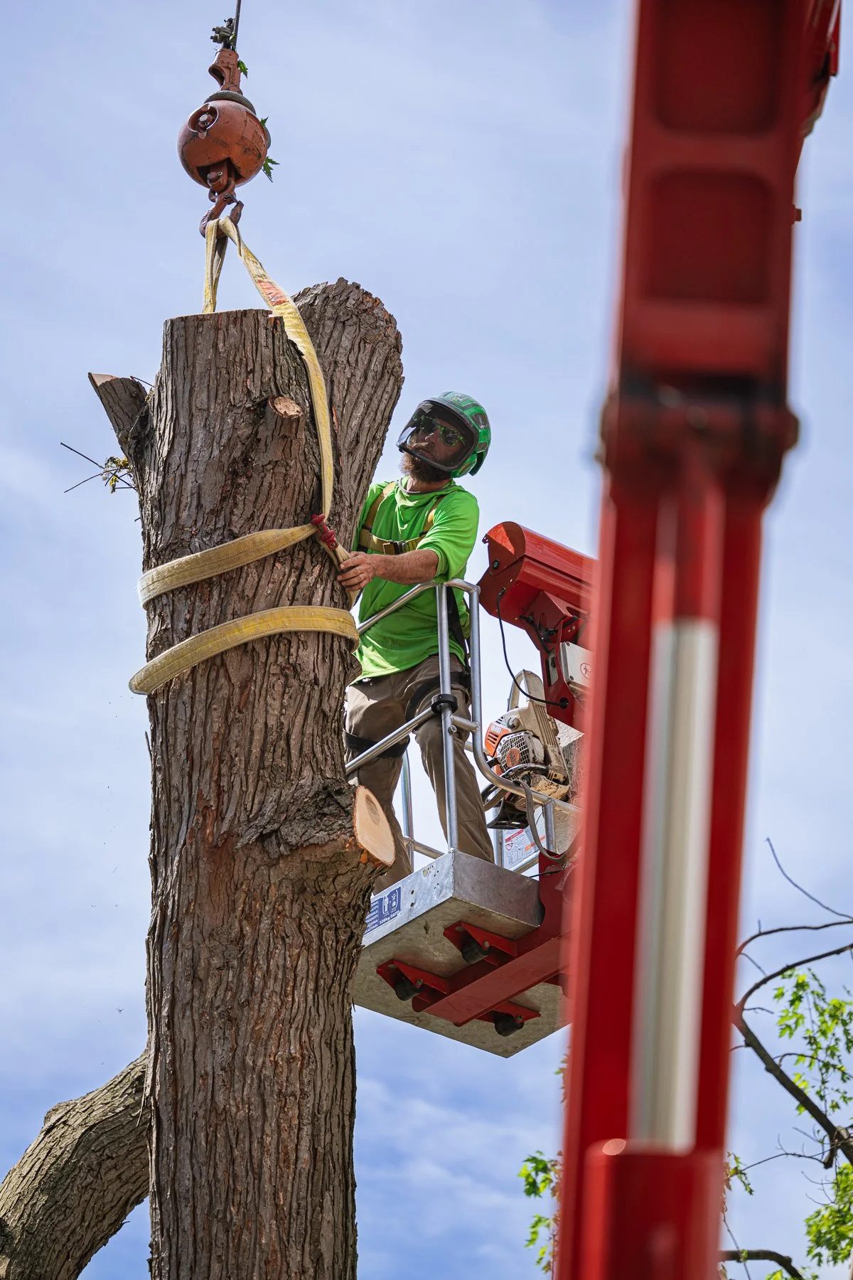 Precision crane operation helping safely remove a large residential tree without damage to nearby structures