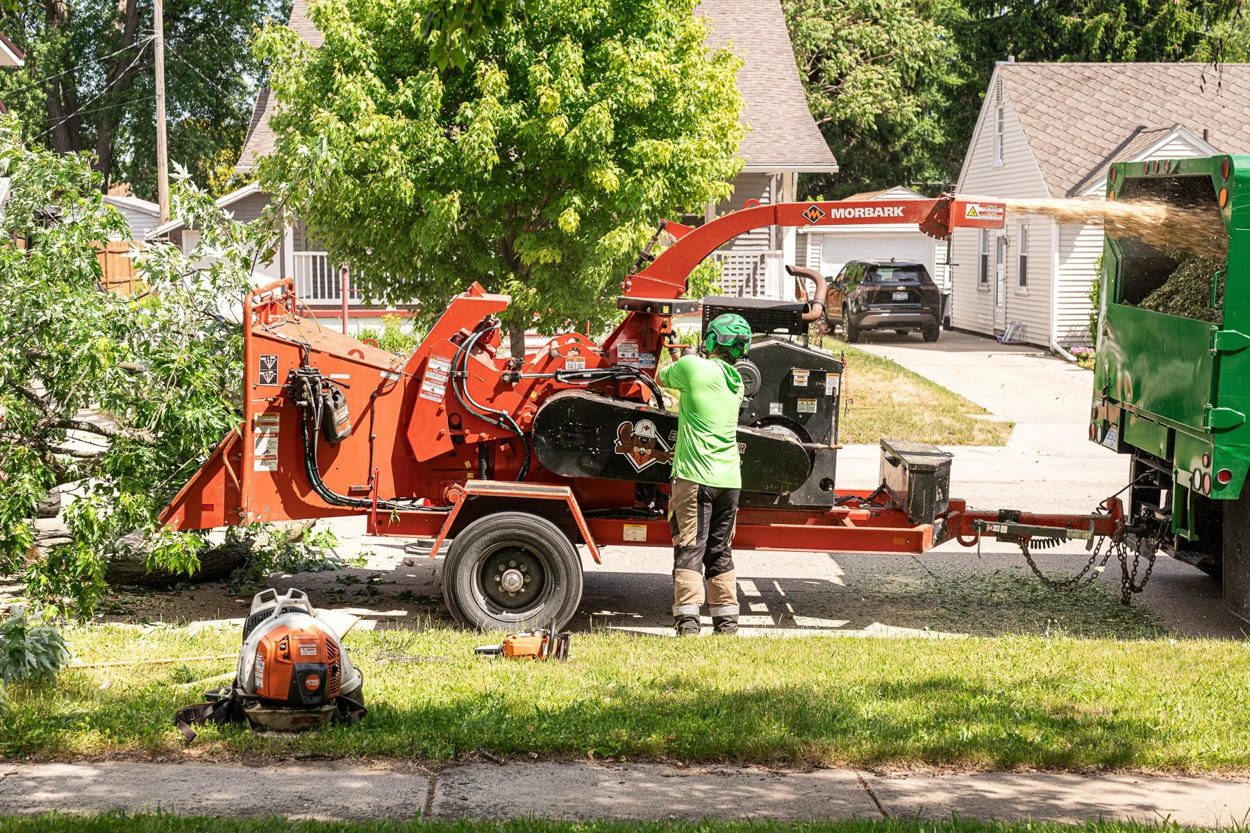 Professional removal and cleanup of a complex tree removal, leaving the property neat and free of debris