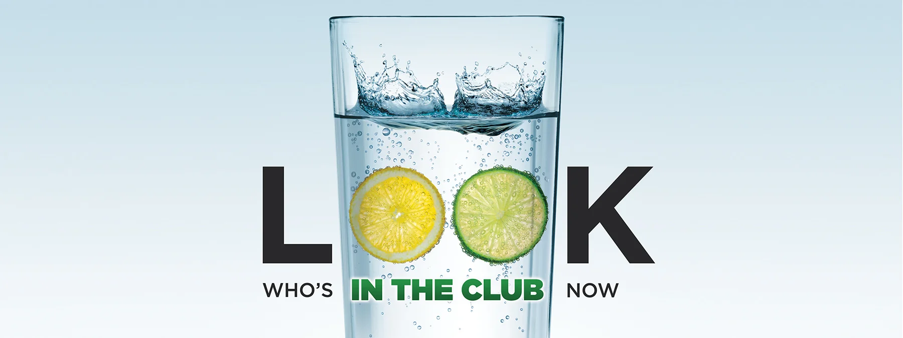 CanadaDry_LOOK_Banner2.jpg