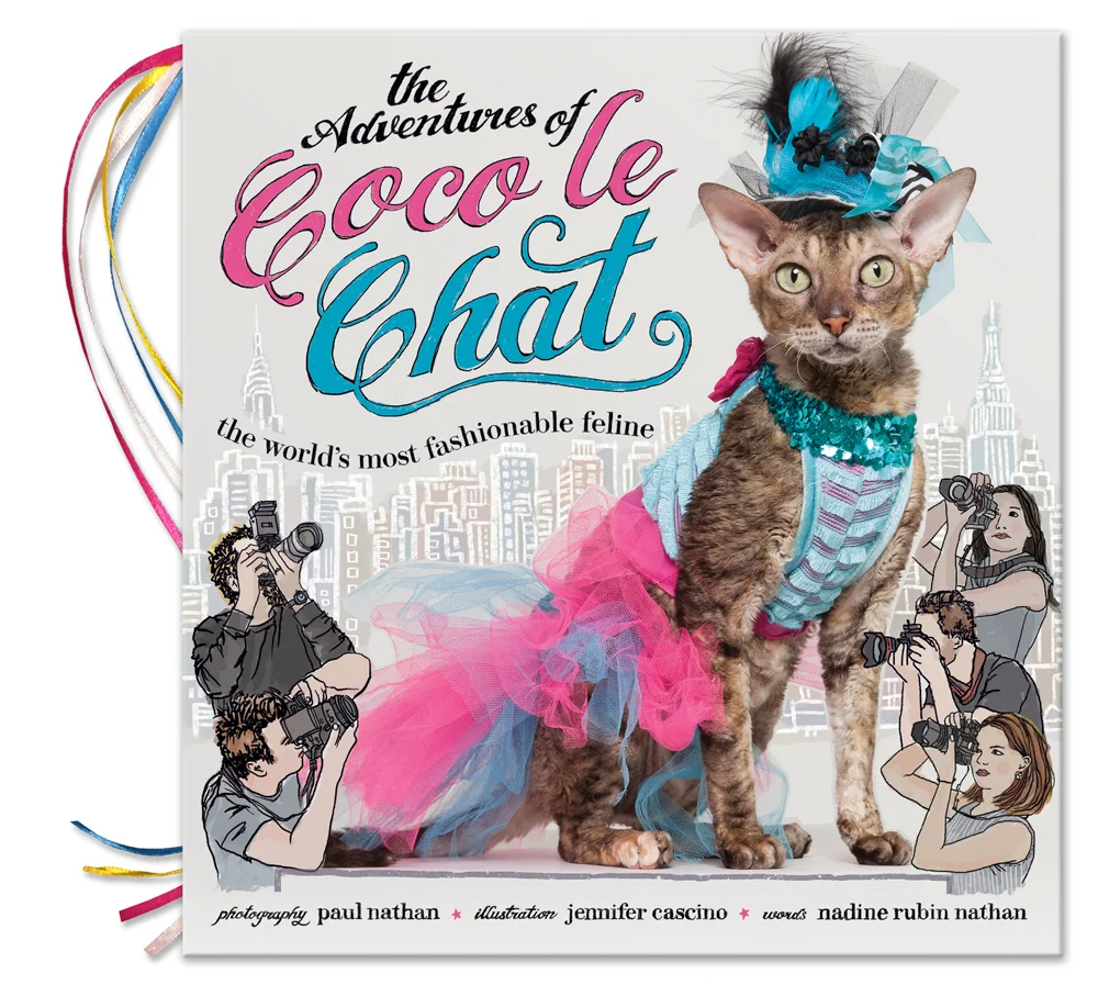 THE ADVENTURES OF COCO LE CHAT CHILDREN'S BOOK