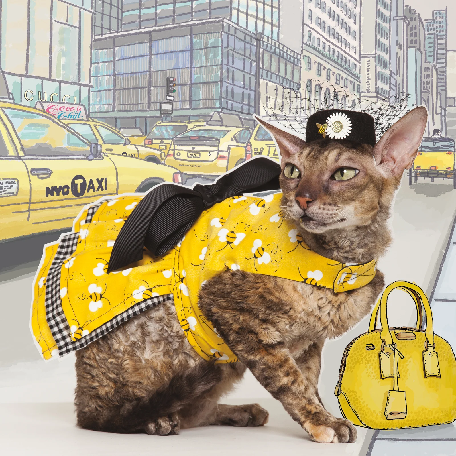 Coco Le Chat Children's Book