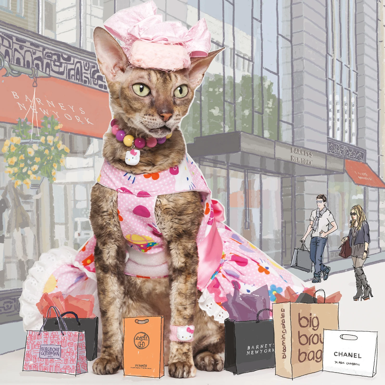 THE ADVENTURES OF COCO LE CHAT CHILDREN'S BOOK