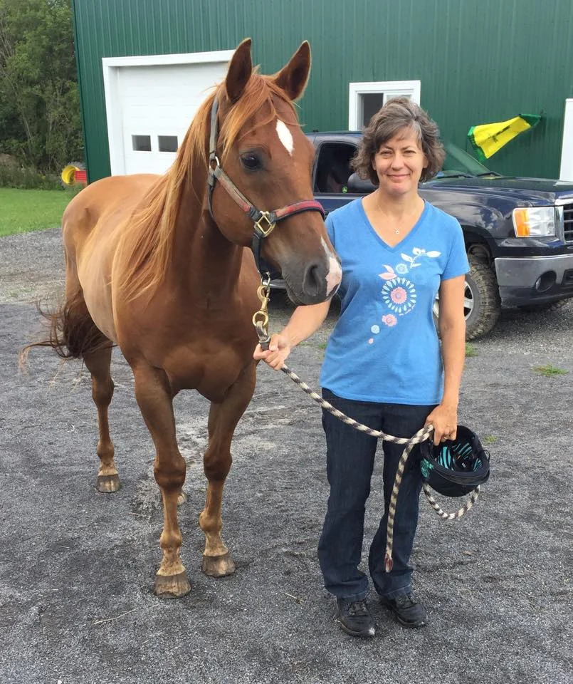 ROO Roo is Natalie's Quarterhorse gelding, born in 2006. He's a marvellous guy, smart and dependable. When he moved here, he was afraid of only one thing... goats. Needless to say, we have worked through that little phobia. If Natalie had her way, she'd be riding Roo all day every day.