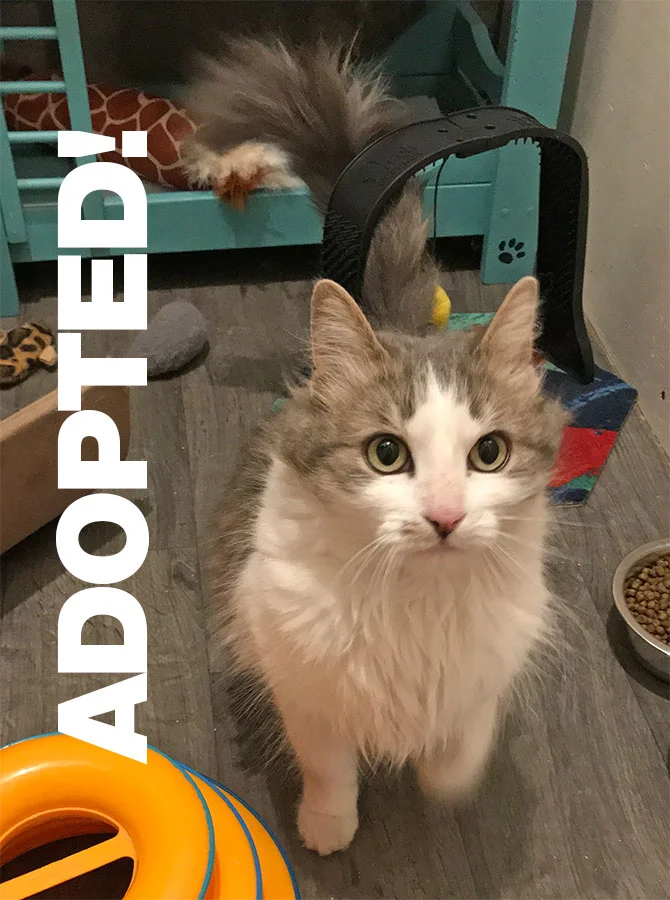MathildaAdopted.jpg