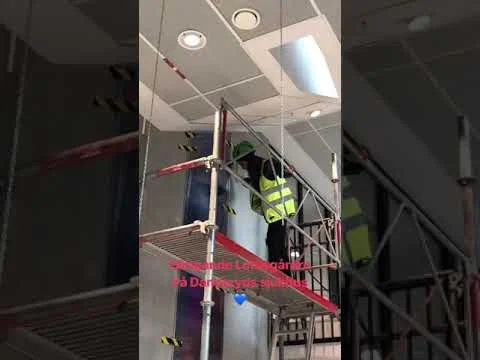 Installation of "Den hängande lotusträdgården" June 2019, Danderyds sjukhus, Stockholm