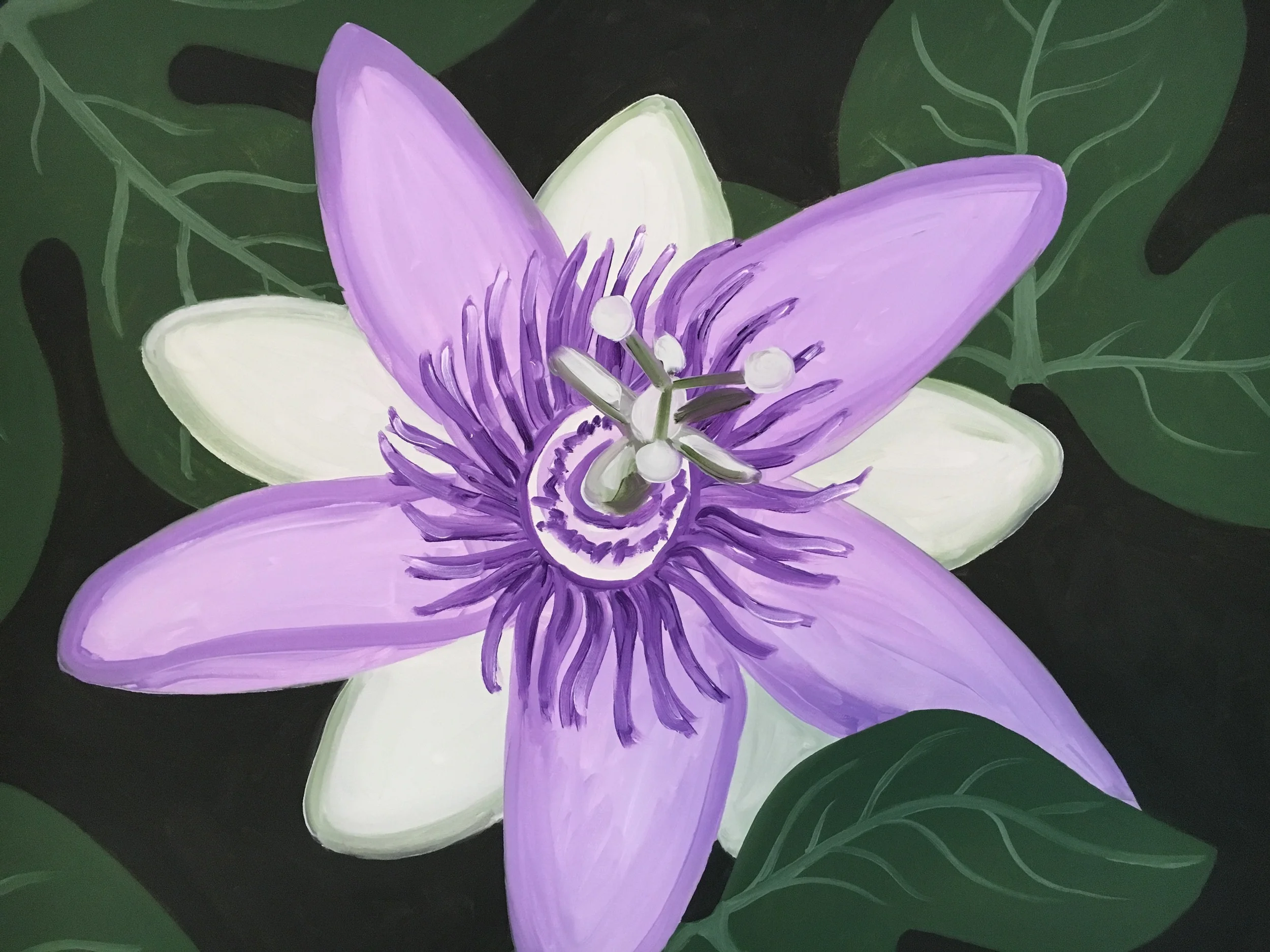 Passiflora (24" x 30")