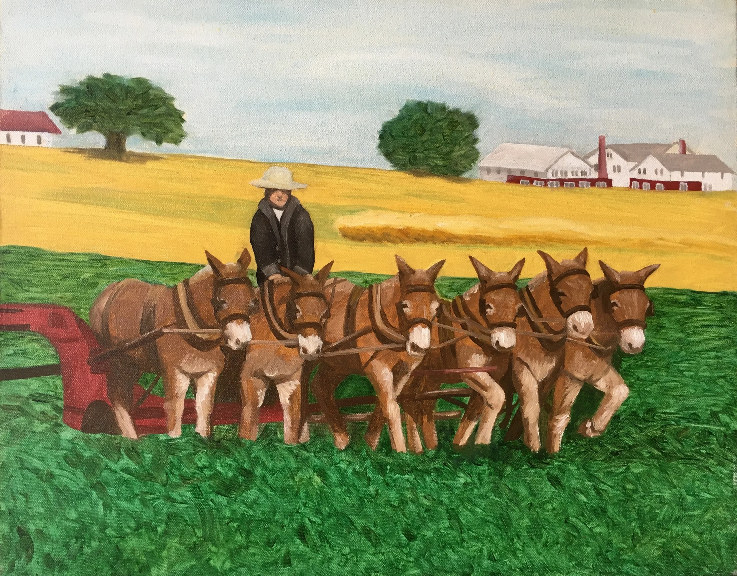 Lancaster plow (16" x 20")