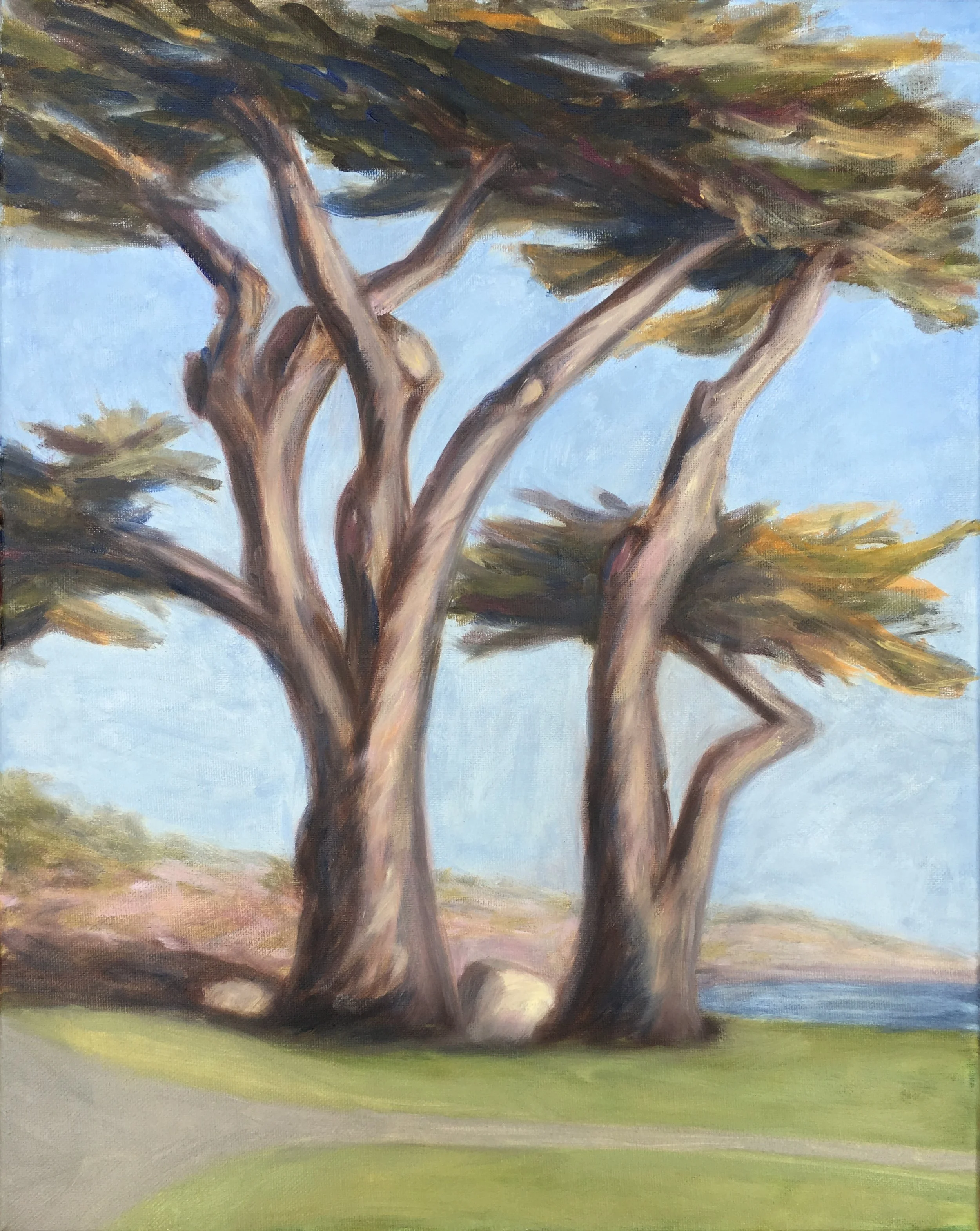 Lovers Point Cypress (16" X 20")