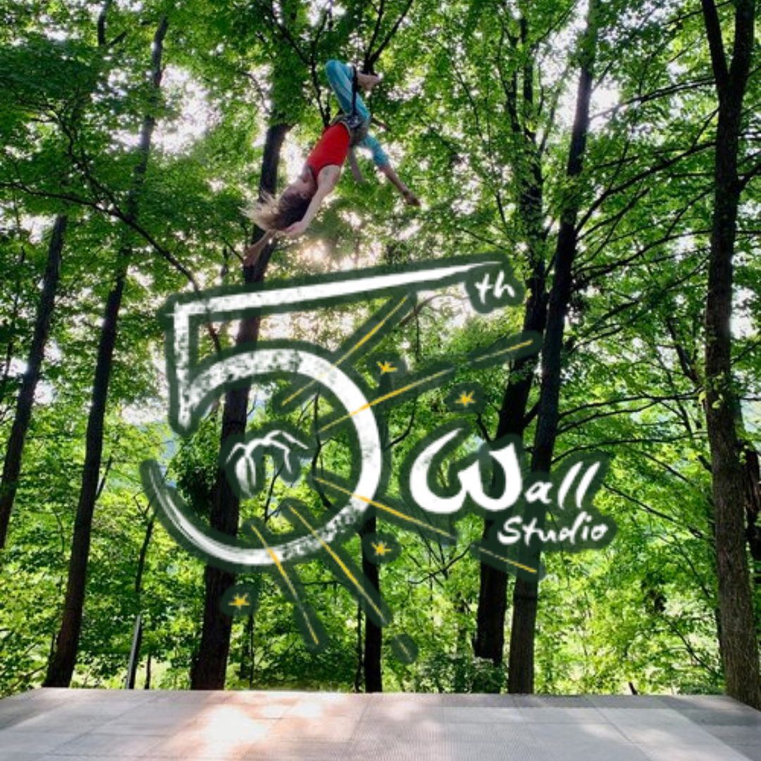 Fifth Wall Studio – $75 Fly Lesson