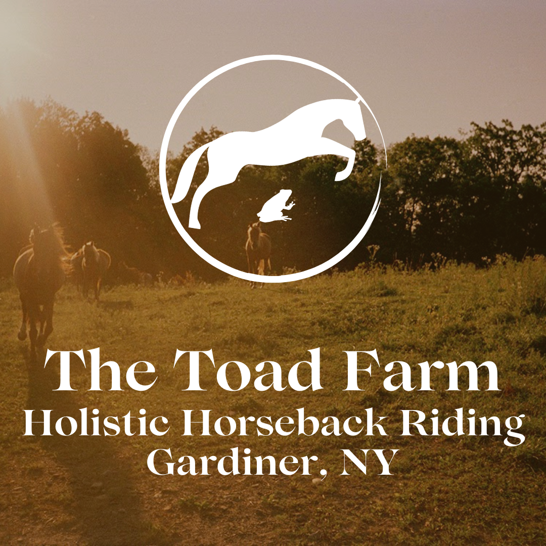 The Old Toad Farm – $75 Horseback Riding Lesson