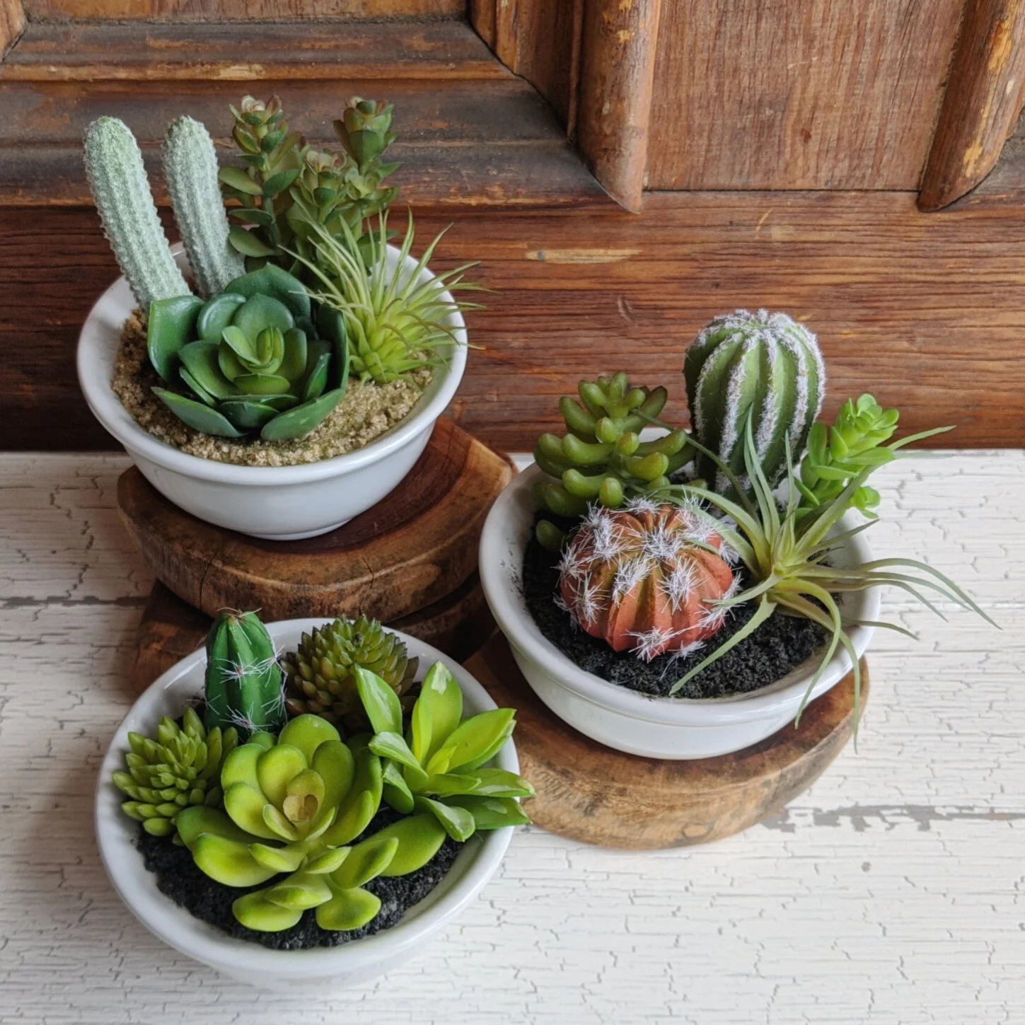 Faux Cactus Succulents in Bowl Red Tree - Bramble Furniture, offering the  lowest prices on line of Bramble Furniture