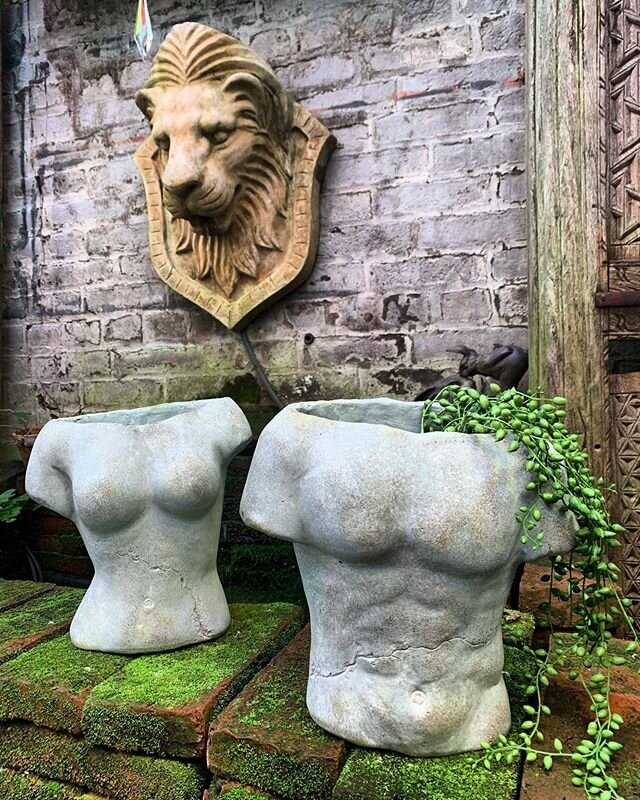 Sticking with the torso theme today we&rsquo;ve got these amazing new Male and Female Torso Planters! $58 each, Message us for a link if you&rsquo;d like to make one of these yours!