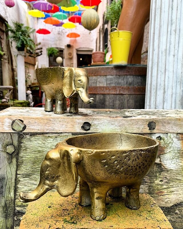 What elephant lover wouldn&rsquo;t want a Brass Elephant Bowl?!?! 9&rdquo; long x 4.5&rdquo;H x 5&rdquo;W $36 each