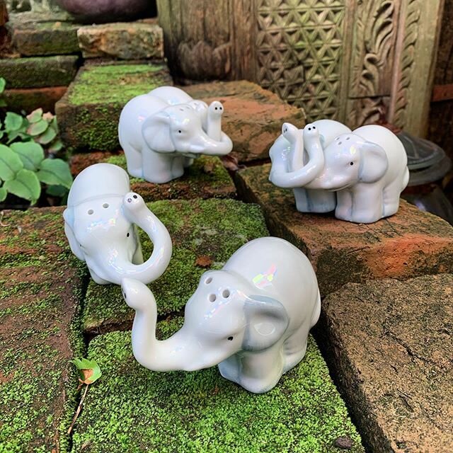 These Elephant Salt &amp; Pepper shakers with interlocking trunks are the cutest shakers we&rsquo;ve ever had! $14 for each set
