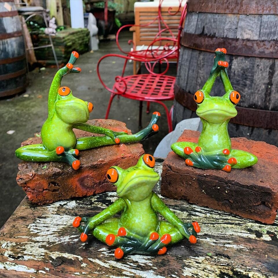 Yoga Tree Frogs