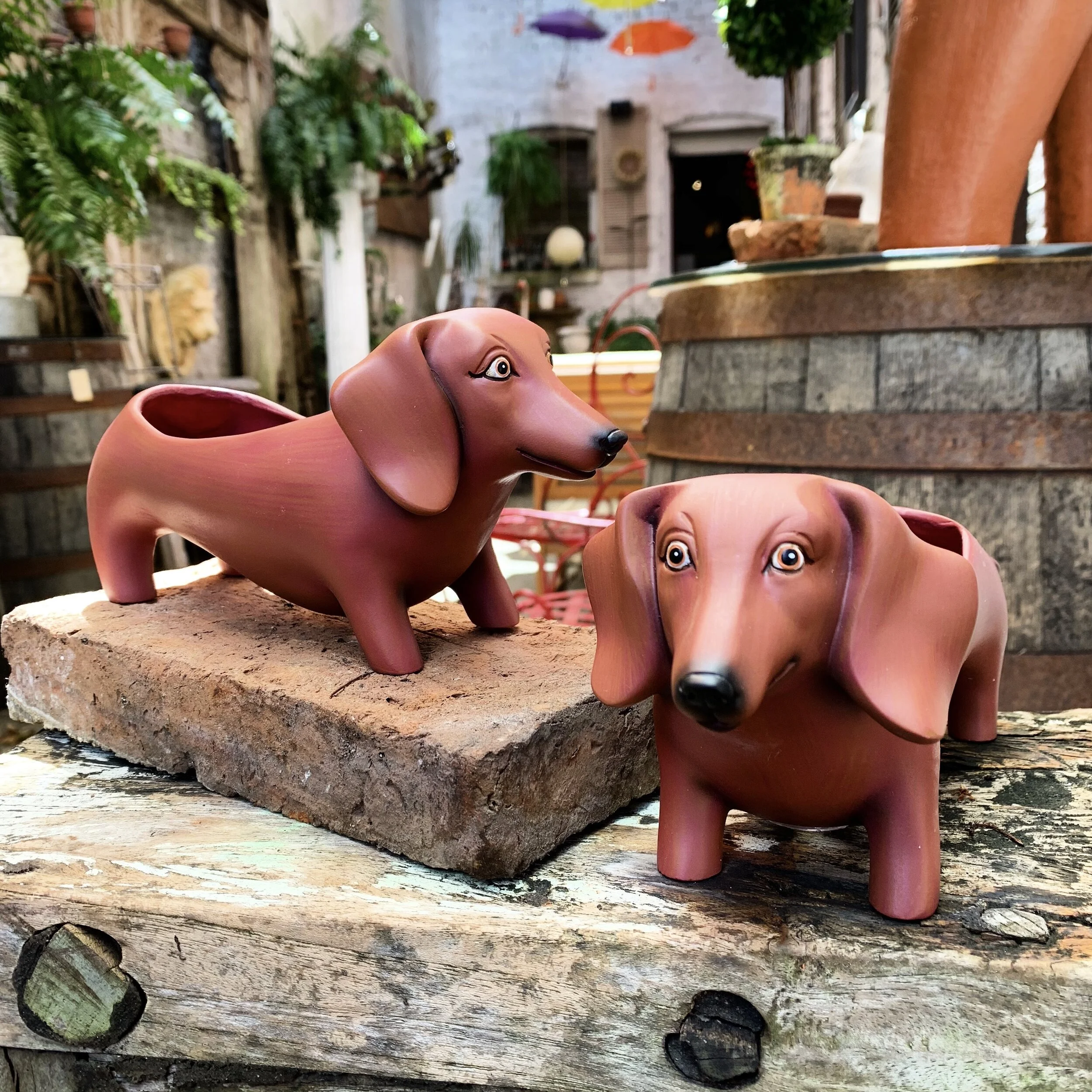 Dachshund Flower Pots Red Tree - Bramble Furniture, offering the lowest  prices on line of Bramble Furniture
