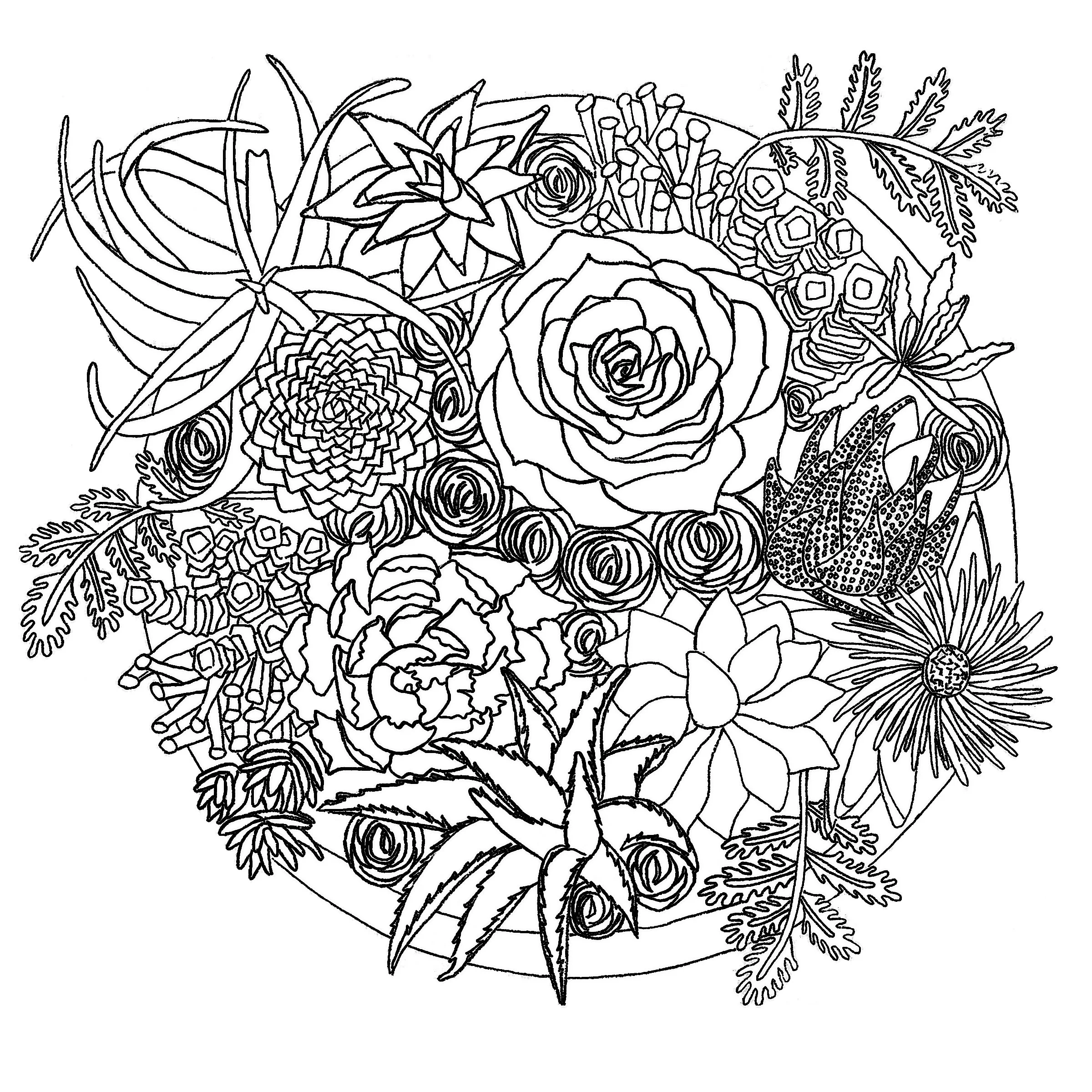 succulent_salad_coloring_page_final.jpg