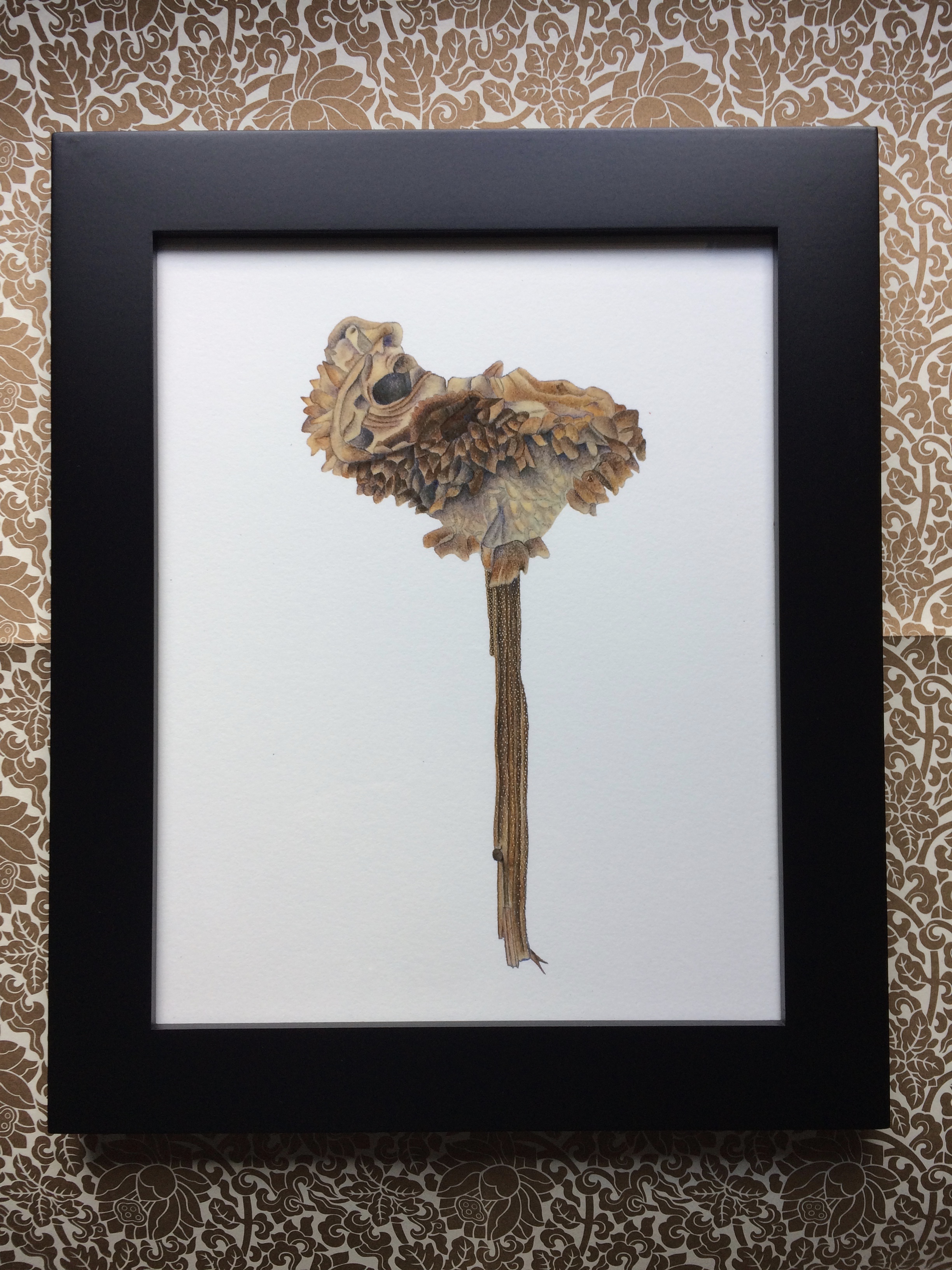 This is print of my Sunflower Seedhead drawing I did in colored pencil. This print is available in my shop along with many of my other botanic artwork prints!