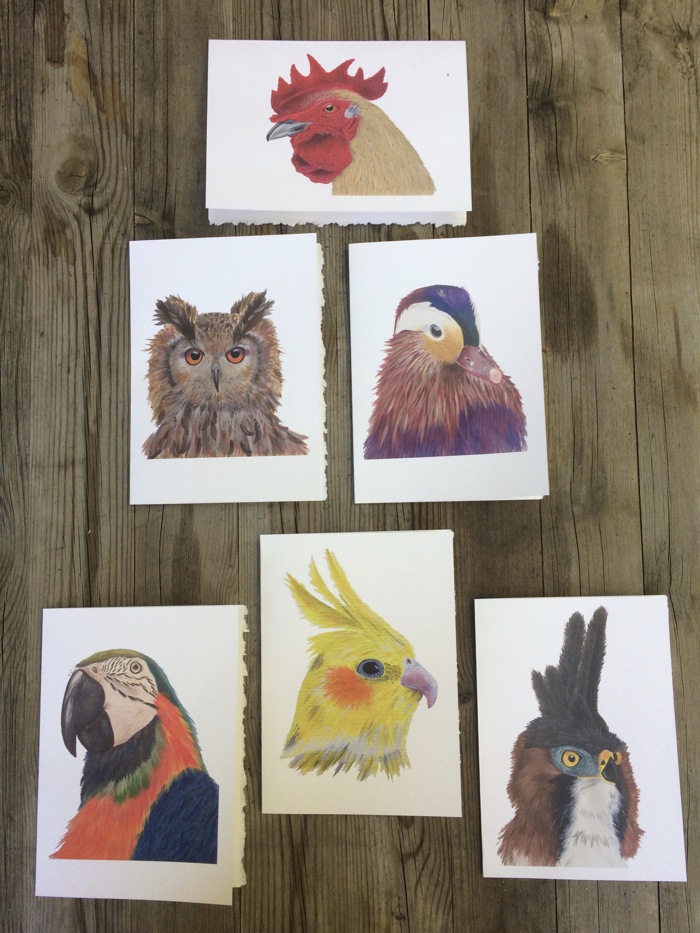 Bird portrait acrylic paintings