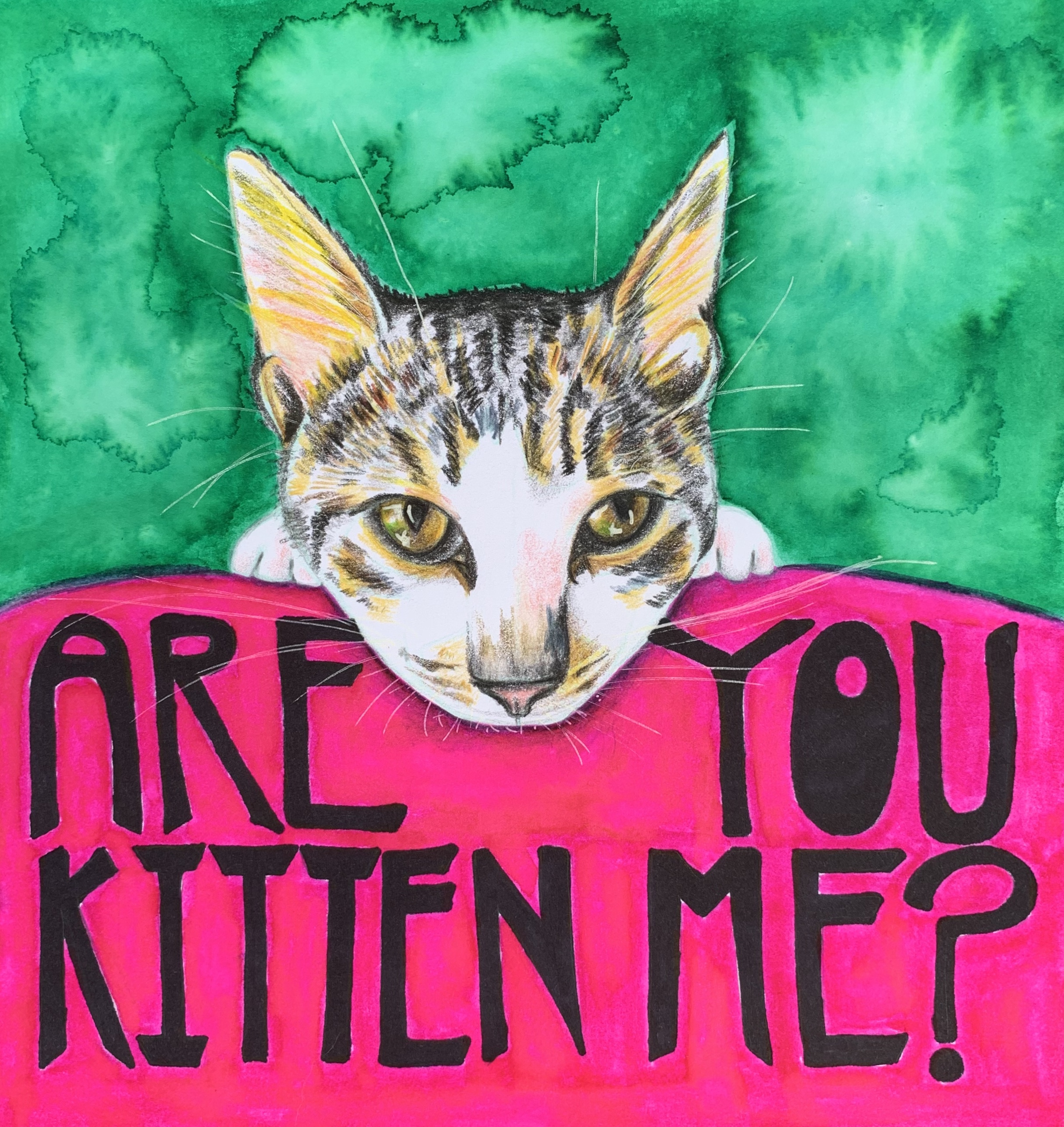 Are You Kitten Me?