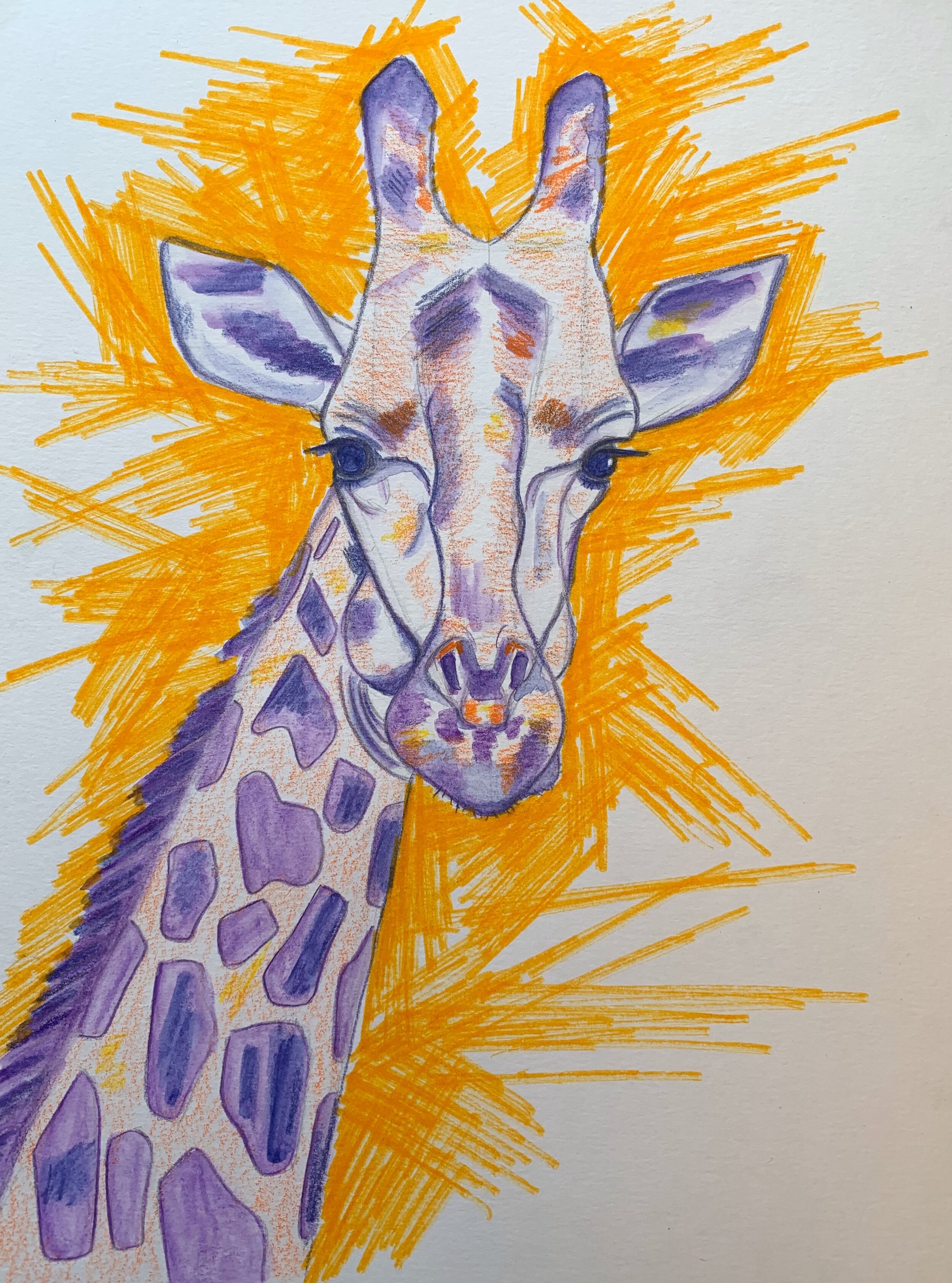 Giraffe in Colored Pencil