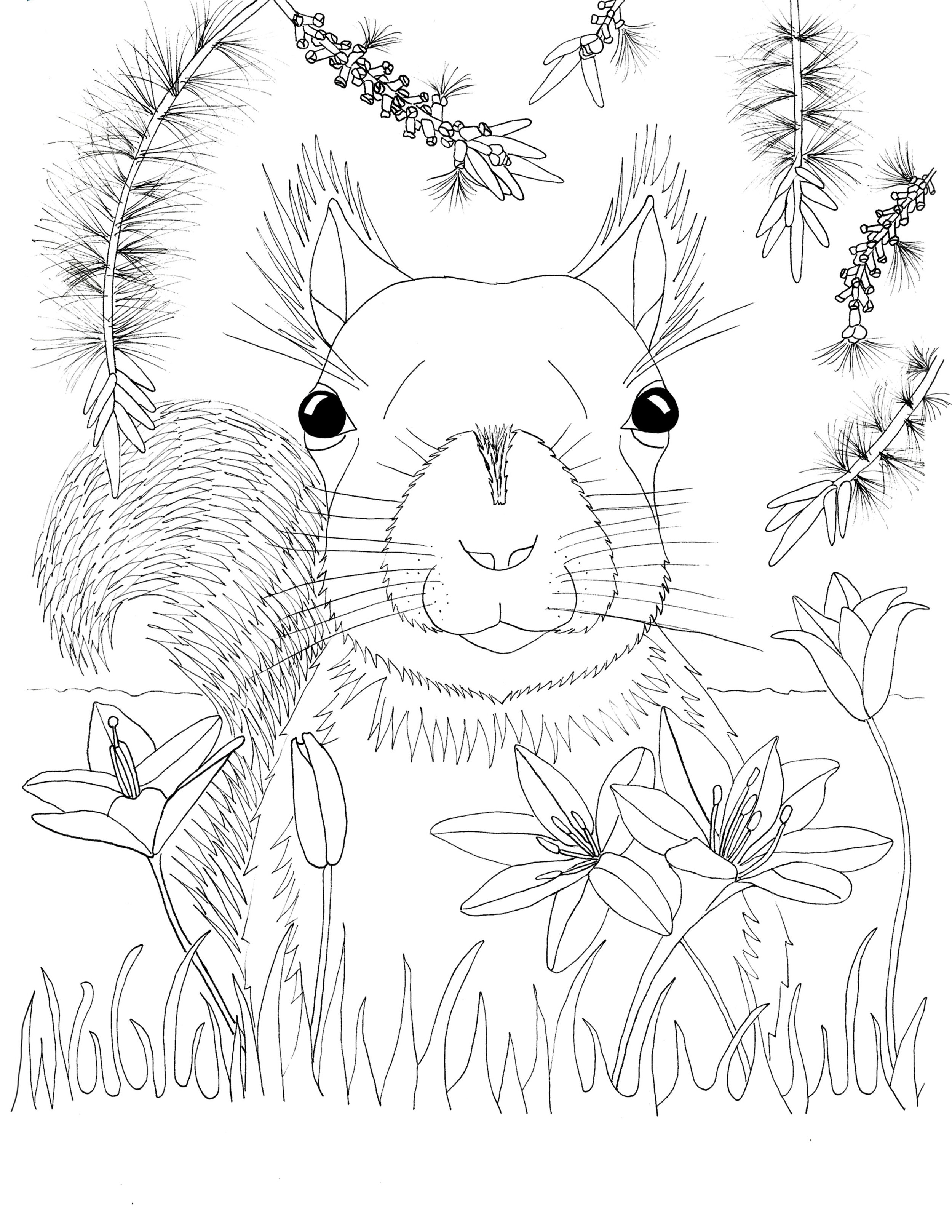 squirrel_with_bottlebrush_coloring_page_final.jpg