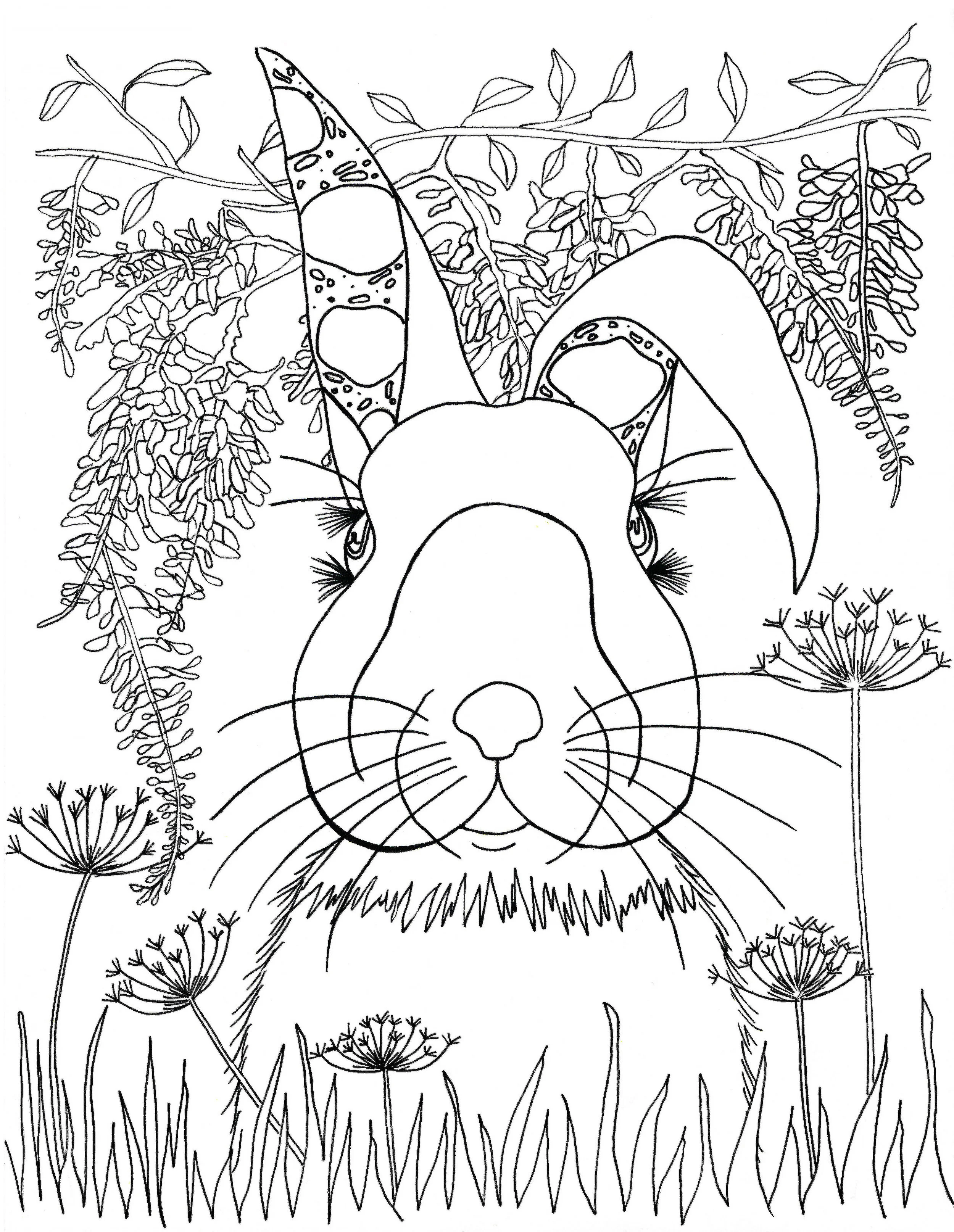 rabbit_with_wisteria_coloring_page_final.jpg