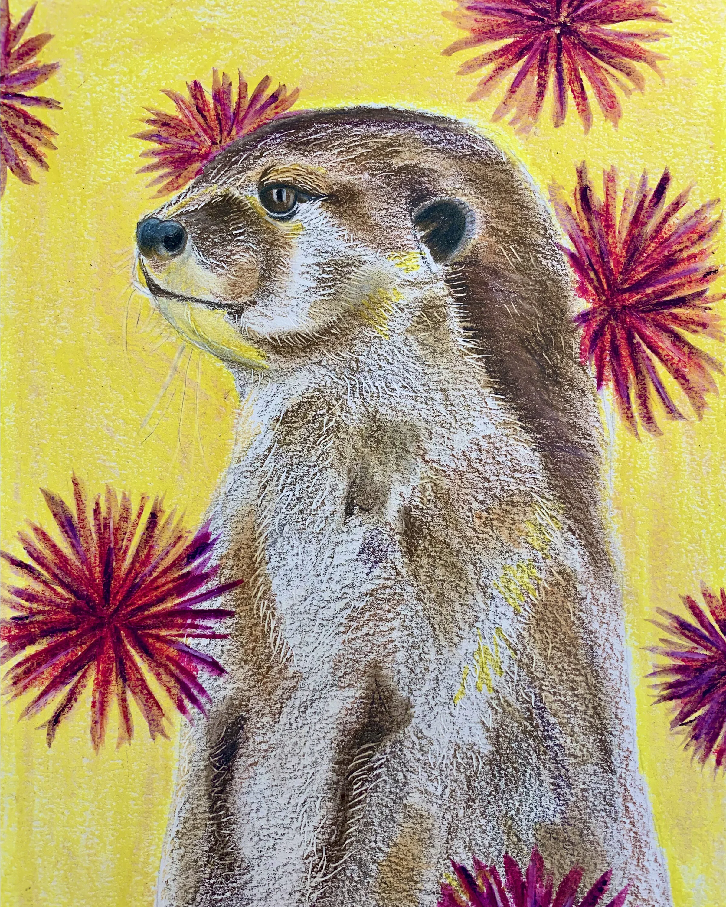 otter_8x10.jpg
