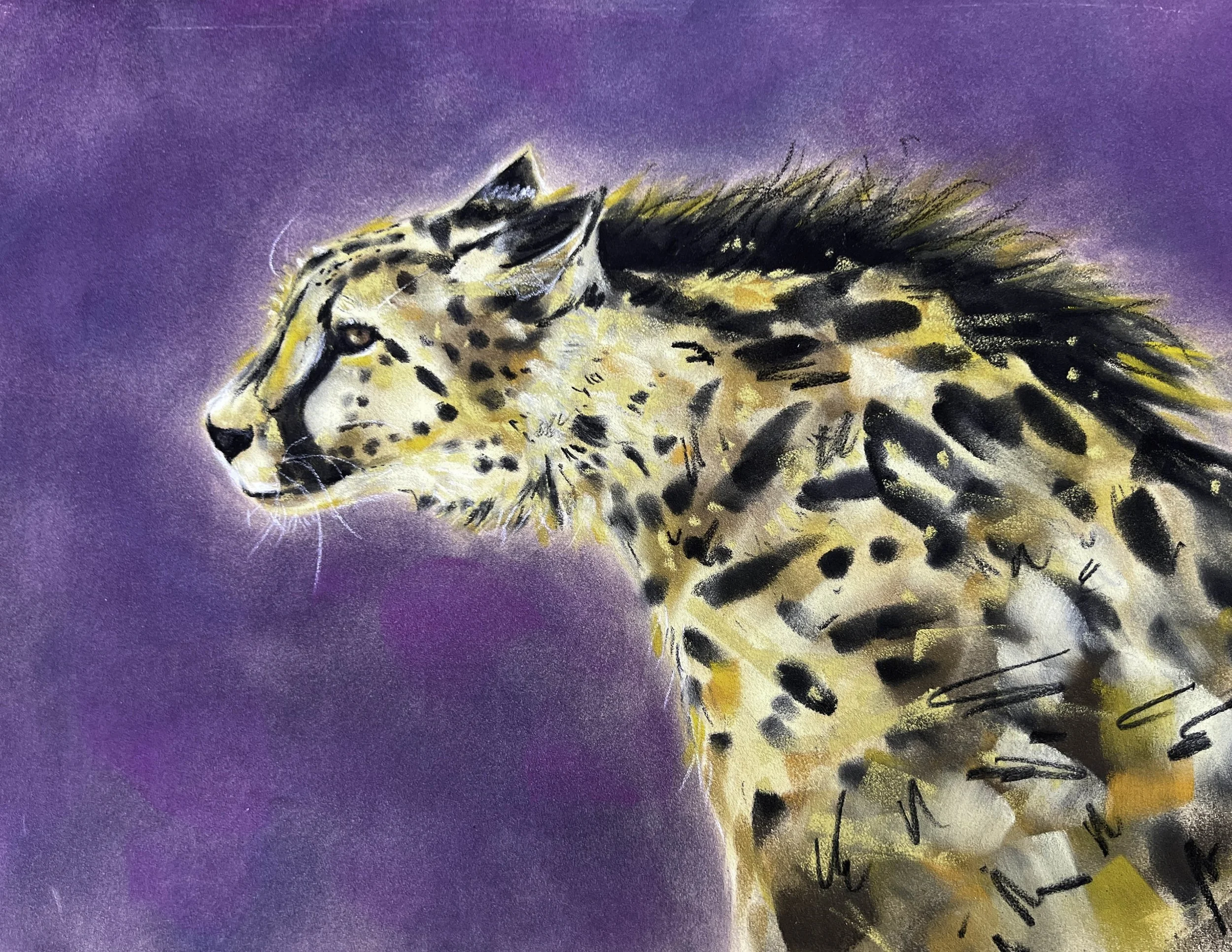King Cheetah in PanPastel and colored pencil on Pastelmat online lesson