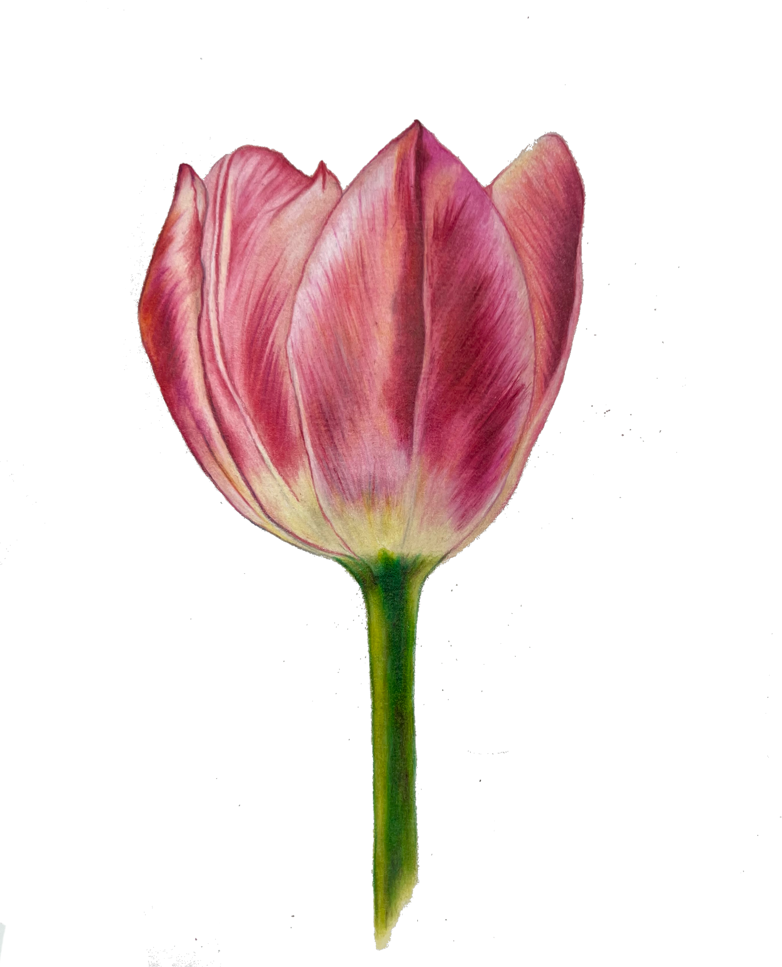 MagicEraser_250422_080032.png