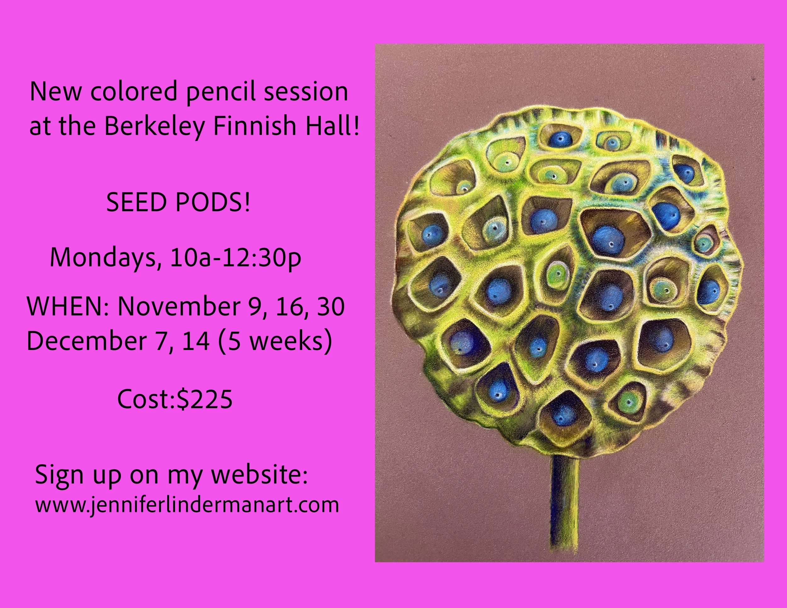 Seed_pods_brochure_2026.jpg